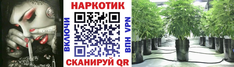 Купить наркоту Темников А ПВП Кокаин
