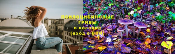 PSILOCYBIN Лиски