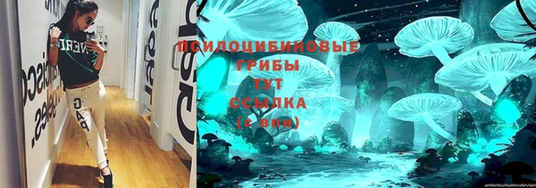 PSILOCYBIN Лиски