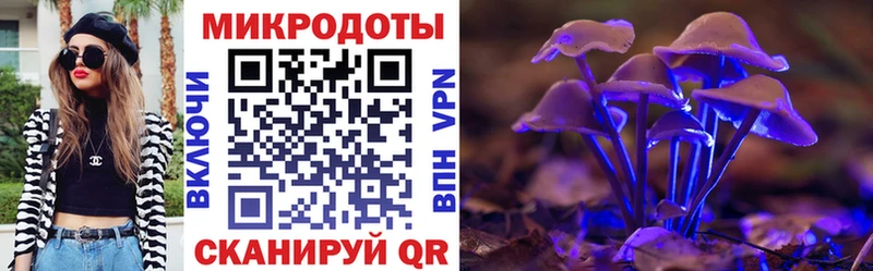 blacksprut   где купить наркоту  Темников  Псилоцибиновые грибы мухоморы 
